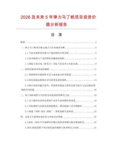 2026及未來5年彈力馬丁帆項目投資價值分析報告