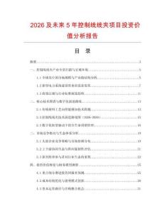 2026及未來5年控制線線夾項目投資價值分析報告