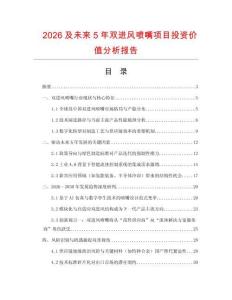 2026及未來5年雙進風噴嘴項目投資價值分析報告