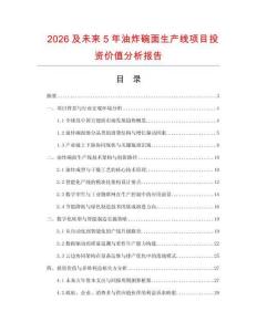 2026及未來5年油炸碗面生產線項目投資價值分析報告