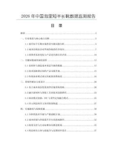 2026年中國泡里短半長靴數據監測報告