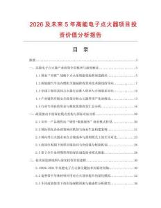 2026及未來5年高能電子點火器項目投資價值分析報告