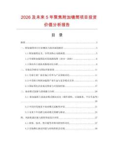 2026及未來5年聚焦附加鏡筒項目投資價值分析報告