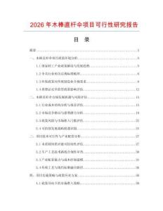 2026年木棒直桿傘項目可行性研究報告