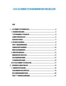 2026云計算服務下沉市場拓展策略與用戶增長潛力分析