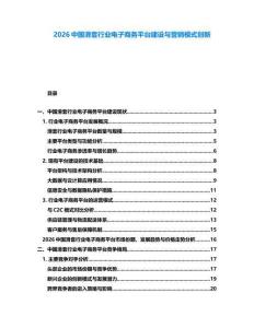 2026中國滑套行業(yè)電子商務平臺建設與營銷模式創(chuàng)新