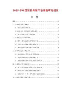 2025年中國前杠骨架市場調查研究報告