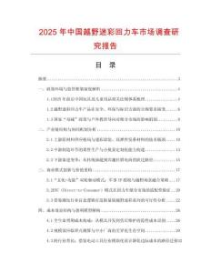 2025年中國越野迷彩回力車市場調查研究報告