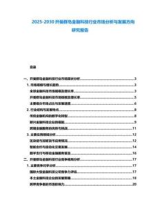 2025-2030開曼群島金融科技行業(yè)市場分析與發(fā)展方向研究報告