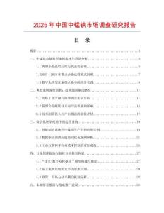 2025年中國(guó)中錳鐵市場(chǎng)調(diào)查研究報(bào)告