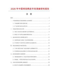 2026年中國球拍柄皮市場調查研究報告