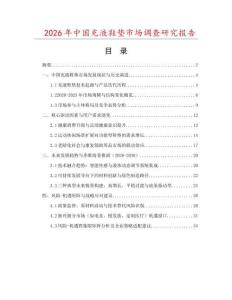 2026年中國(guó)充液鞋墊市場(chǎng)調(diào)查研究報(bào)告