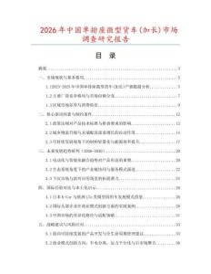 2026年中國單排座微型貨車(加長)市場調查研究報告