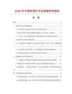 2026年中國(guó)轉(zhuǎn)角燈市場(chǎng)調(diào)查研究報(bào)告