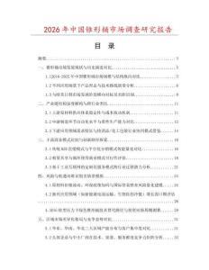 2026年中國錐形桶市場調查研究報告