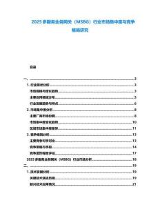 2025多服務業務網關（MSBG）行業市場集中度與競爭格局研究