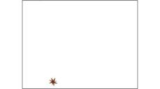 《小紅魚的奇思妙想》美術教育PPT繪畫課件創意教程教案