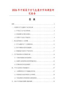 2026年中國萊卡空氣包覆紗市場調查研究報告
