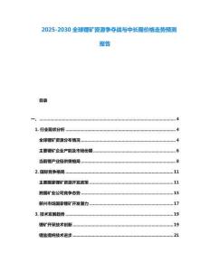 2025-2030全球鋰礦資源爭奪戰(zhàn)與中長期價格走勢預(yù)測報告