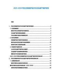 2025-2030考古文物保護技術與文化遺產保護研究