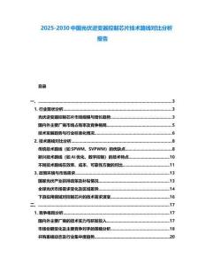 2025-2030中國光伏逆變器控制芯片技術路線對比分析報告