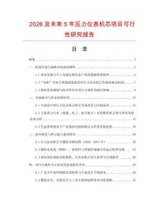 2026及未來5年壓力儀表機(jī)芯項(xiàng)目可行性研究報(bào)告
