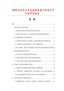 2026及未來5年反盜竊復(fù)蓋沙井項(xiàng)目可行性研究報(bào)告