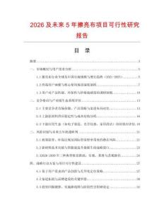 2026及未來5年擦亮布項目可行性研究報告
