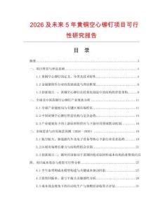 2026及未來5年黃銅空心鉚釘項目可行性研究報告