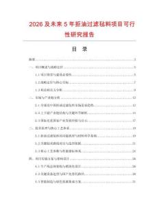 2026及未來5年拒油過濾氈料項目可行性研究報告
