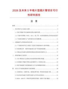 2026及未來5年鋃片型翅片管項目可行性研究報告