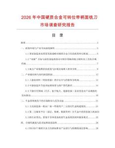2026年中國硬質合金可轉位帶柄面銑刀市場調查研究報告