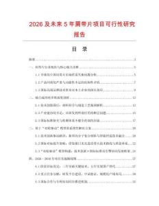2026及未來5年肩帶片項目可行性研究報告