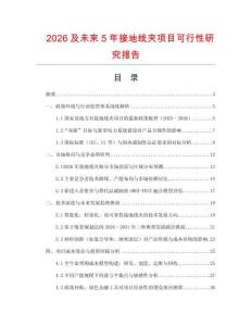 2026及未來5年接地線夾項目可行性研究報告
