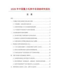 2026年中國魔力毛撣市場調查研究報告