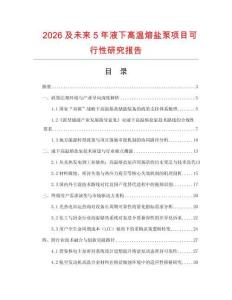 2026及未來5年液下高溫熔鹽泵項目可行性研究報告