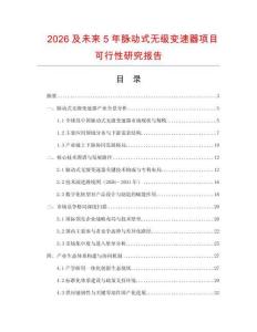 2026及未來5年脈動(dòng)式無級(jí)變速器項(xiàng)目可行性研究報(bào)告