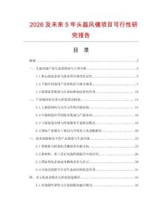 2026及未來5年頭盔風鏡項目可行性研究報告