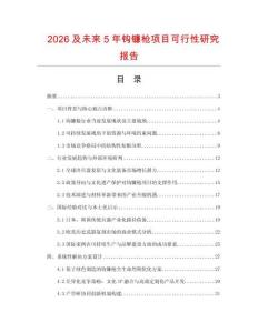 2026及未來5年鉤鐮槍項目可行性研究報告