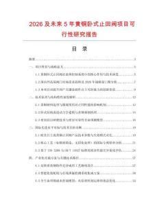 2026及未來5年黃銅臥式止回閥項目可行性研究報告