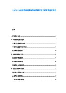 2025-2030驍屁瘦翎渠嫁醢磁衙檎泄坷分析發(fā)展研究報(bào)告