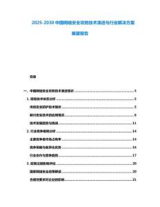 2025-2030中國網(wǎng)絡(luò)安全攻防技術(shù)演進(jìn)與行業(yè)解決方案展望報(bào)告