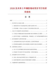 2026及未來5年橡膠卷材項目可行性研究報告