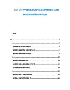 2025-2030中國新能源行業市場前沿供給需求研訂及投資評估規劃詳細分析研究內容