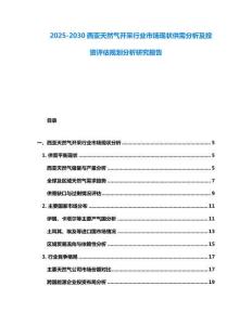2025-2030西亞天然氣開采行業市場現狀供需分析及投資評估規劃分析研究報告