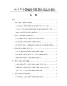 2026年中國磁性修整器數據監測報告