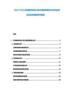 2025-2030亞洲體育用品行業市場發展現狀分析供給需求及投資規劃研究報告