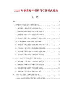 2026年碳素釣竿項(xiàng)目可行性研究報(bào)告