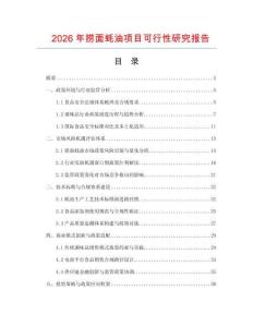 2026年撈面蠔油項目可行性研究報告
