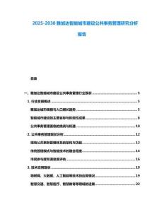 2025-2030雅加達智能城市建設公共事務管理研究分析報告